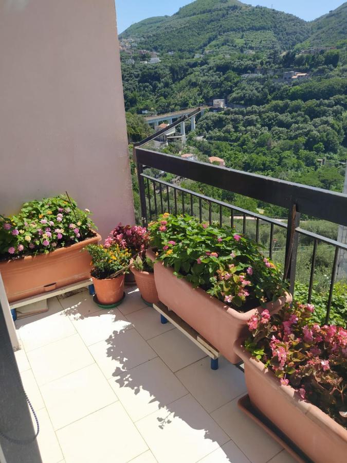 B&B Antonietta Vico Equense Bagian luar foto